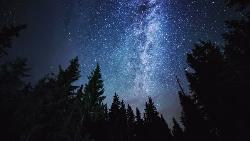 Loai sinh vat gan nhu bat tu anh 1