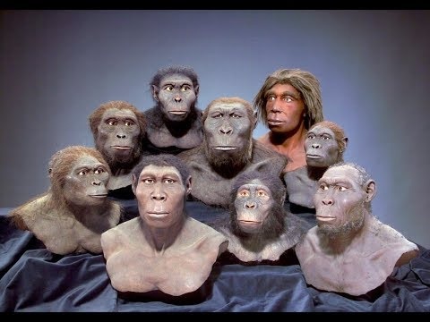 Loai sinh vat gan nhu bat tu anh 2