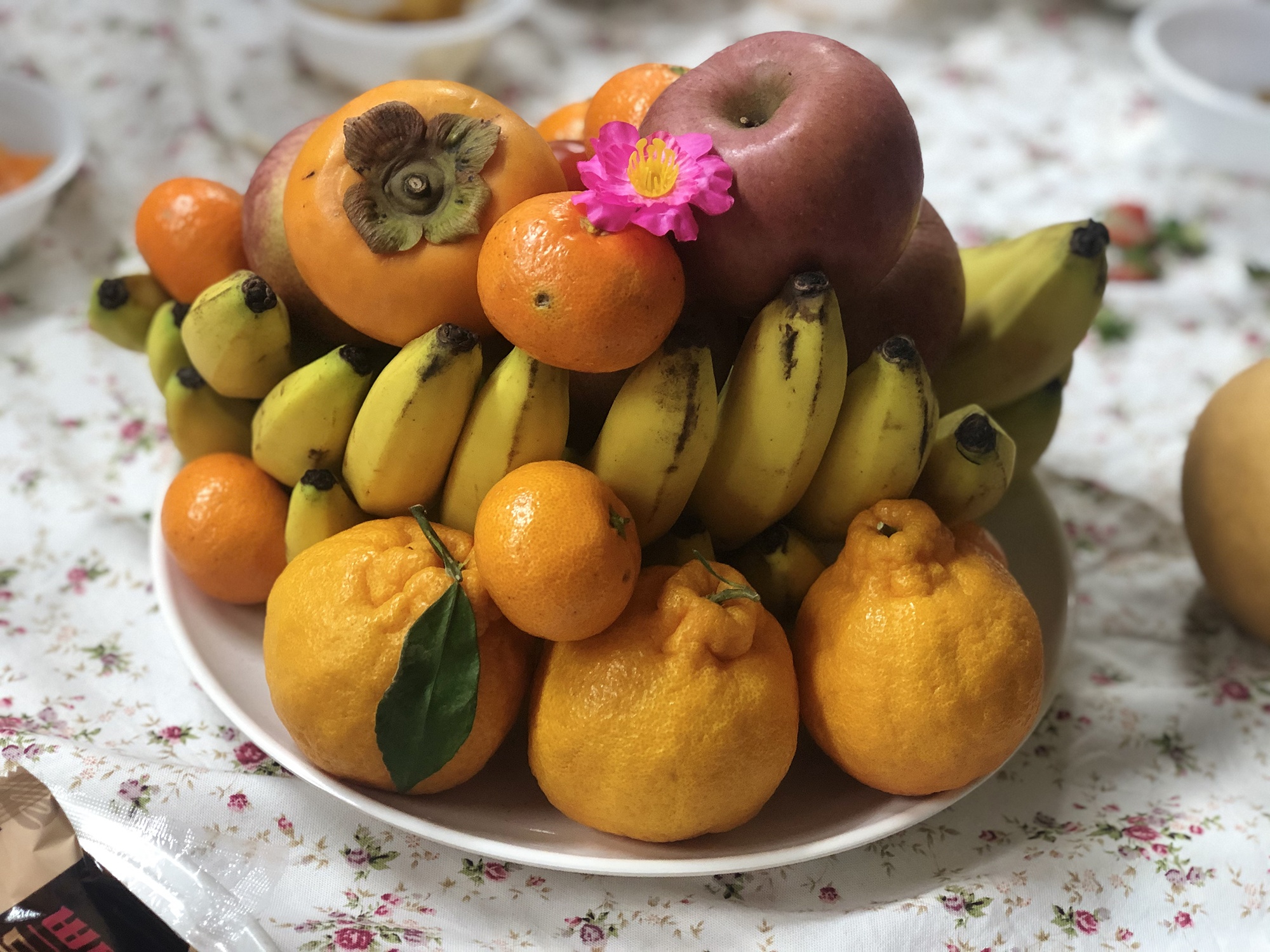 du hoc sinh viet nam don tet anh 4