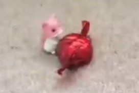 Clip hoat hinh 'The Sweet Thief' cua nam sinh 12 tuoi hinh anh