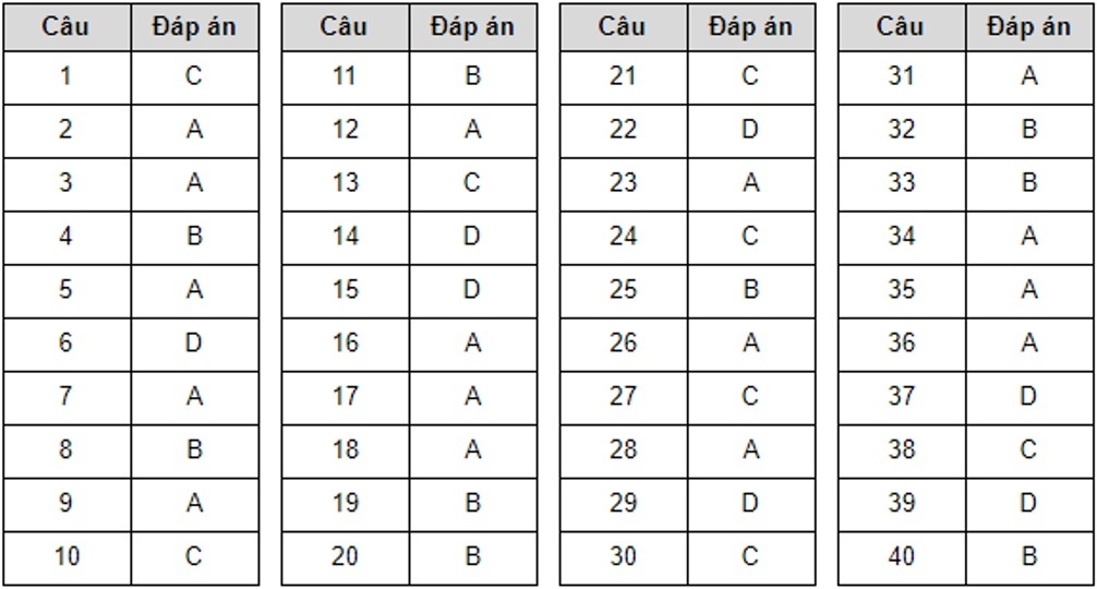 dap an de thi tham khao THPT quoc gia 2020 anh 13