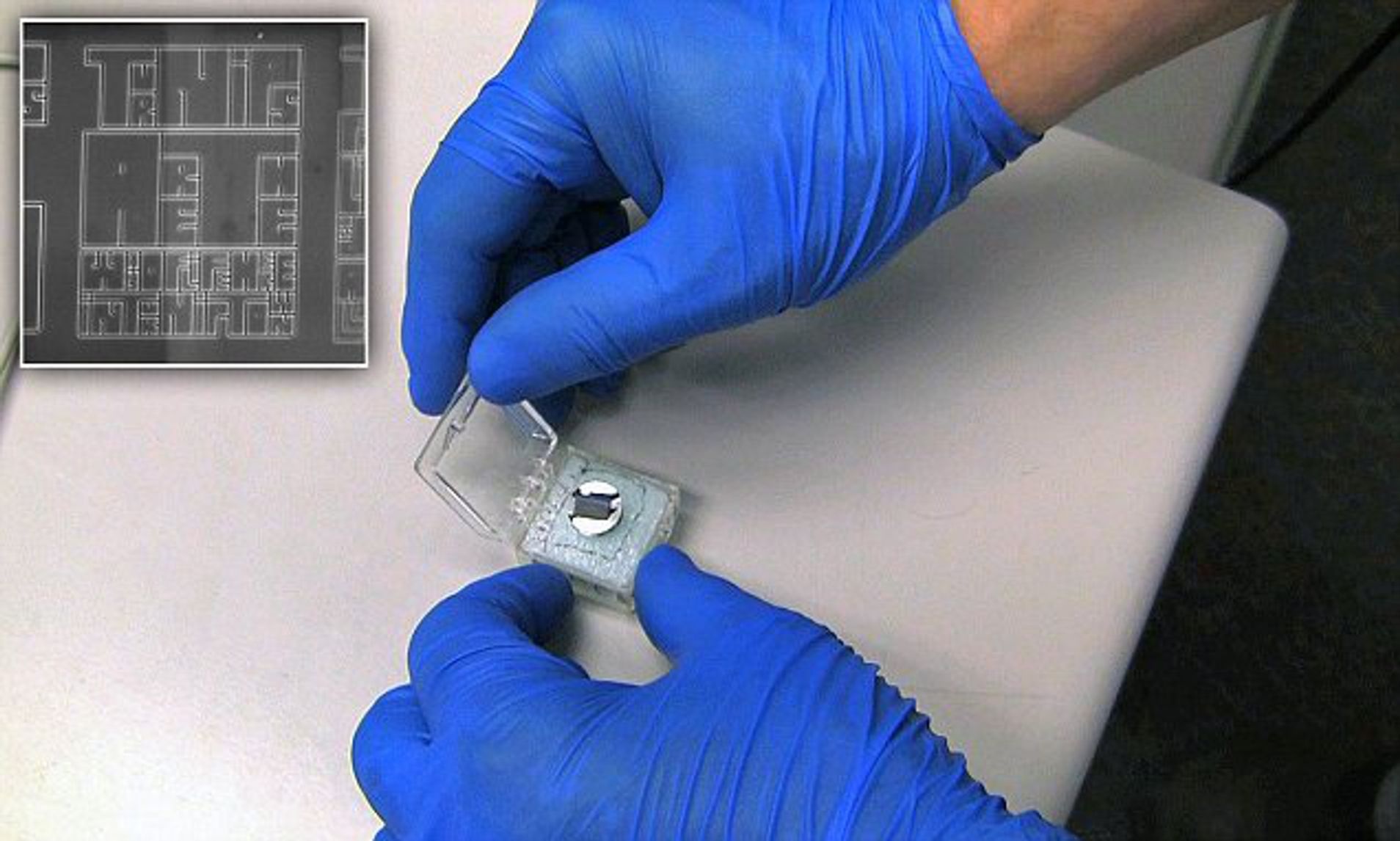 Sach nho nhat the gioi anh 2