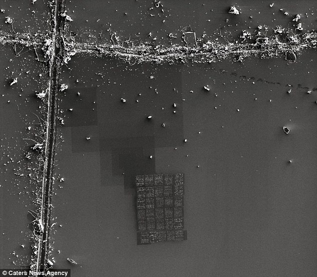 Sach nho nhat the gioi anh 4