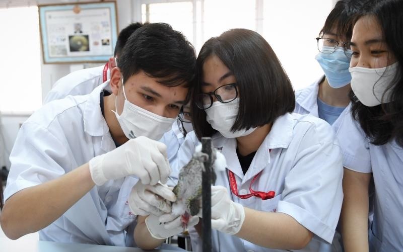 khoi nganh suc khoe se hop ban phuong an thi chung anh 1