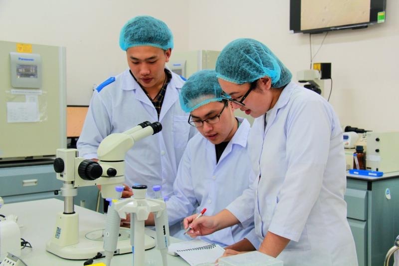 khoi nganh suc khoe se hop ban phuong an thi chung anh 2