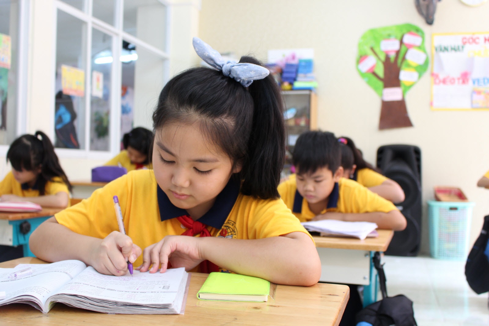 hoc phi tieu hoc gan 400 trieu dong anh 6