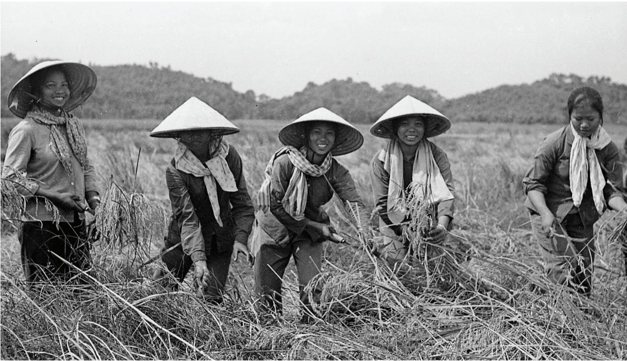 Tang 200 phim am ban ve chien tranh cho Bao tang Phu nu Viet Nam hinh anh