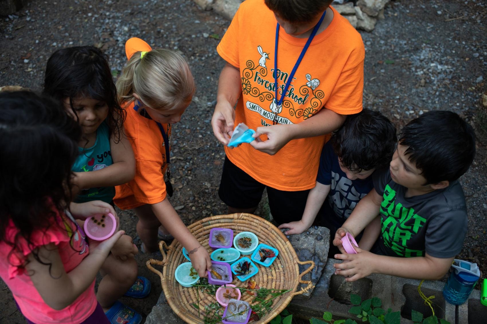 lop hoc trong rung cho tre em anh 8