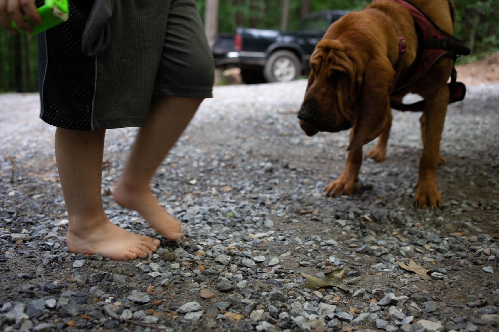 lop hoc trong rung cho tre em anh 6