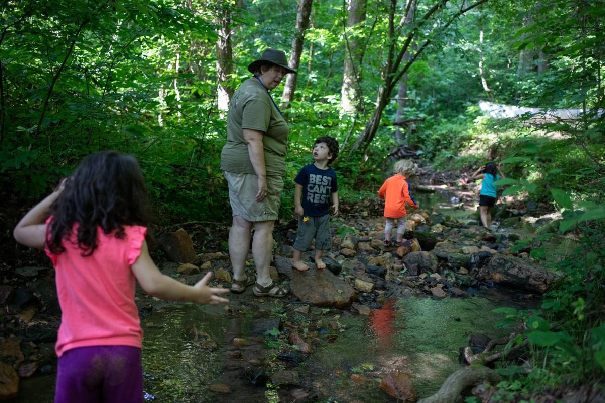 lop hoc trong rung cho tre em anh 2