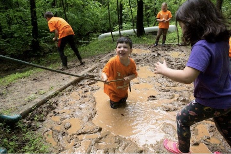 lop hoc trong rung cho tre em anh 7