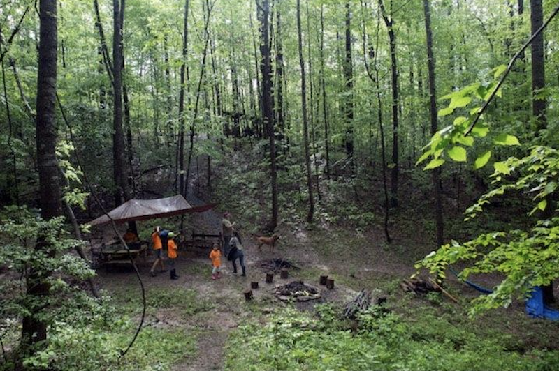 lop hoc trong rung cho tre em anh 3