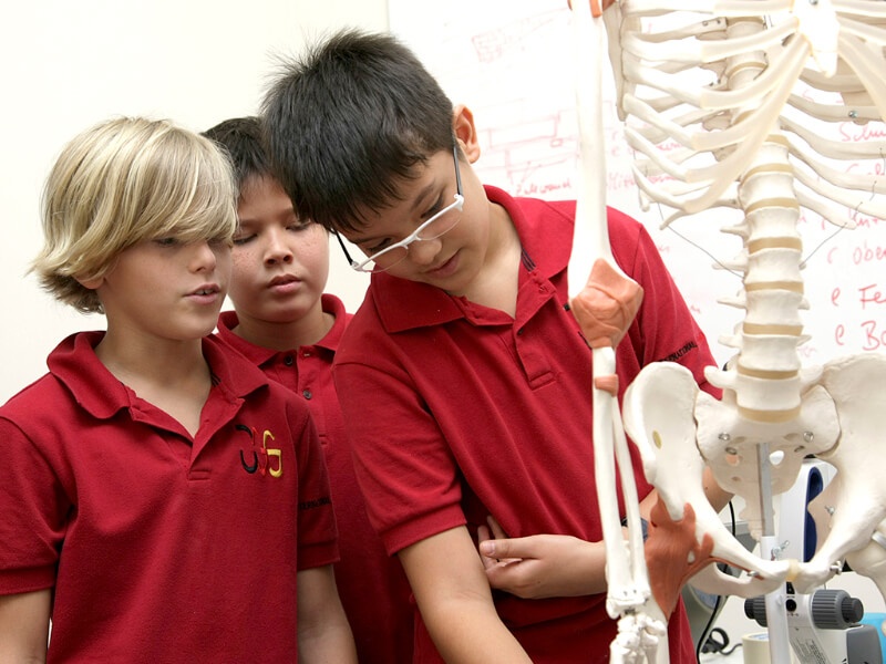 Hoc phi THCS tai truong quoc te o TP.HCM anh 6