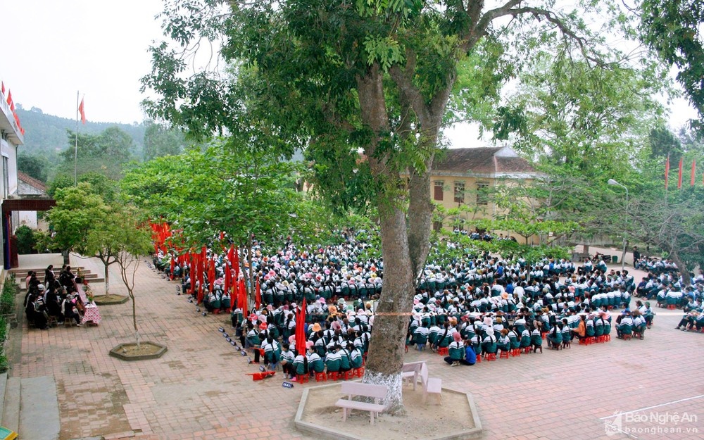 Chat xa cu co thu o Nghe An anh 1