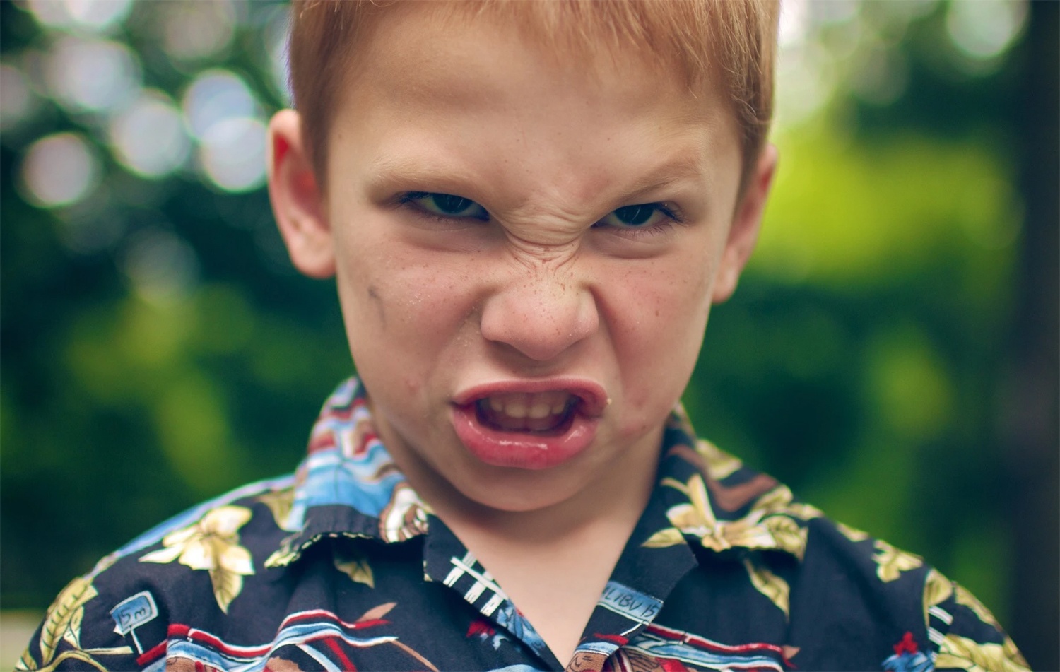 ban dang day con gai gi vay anh 2