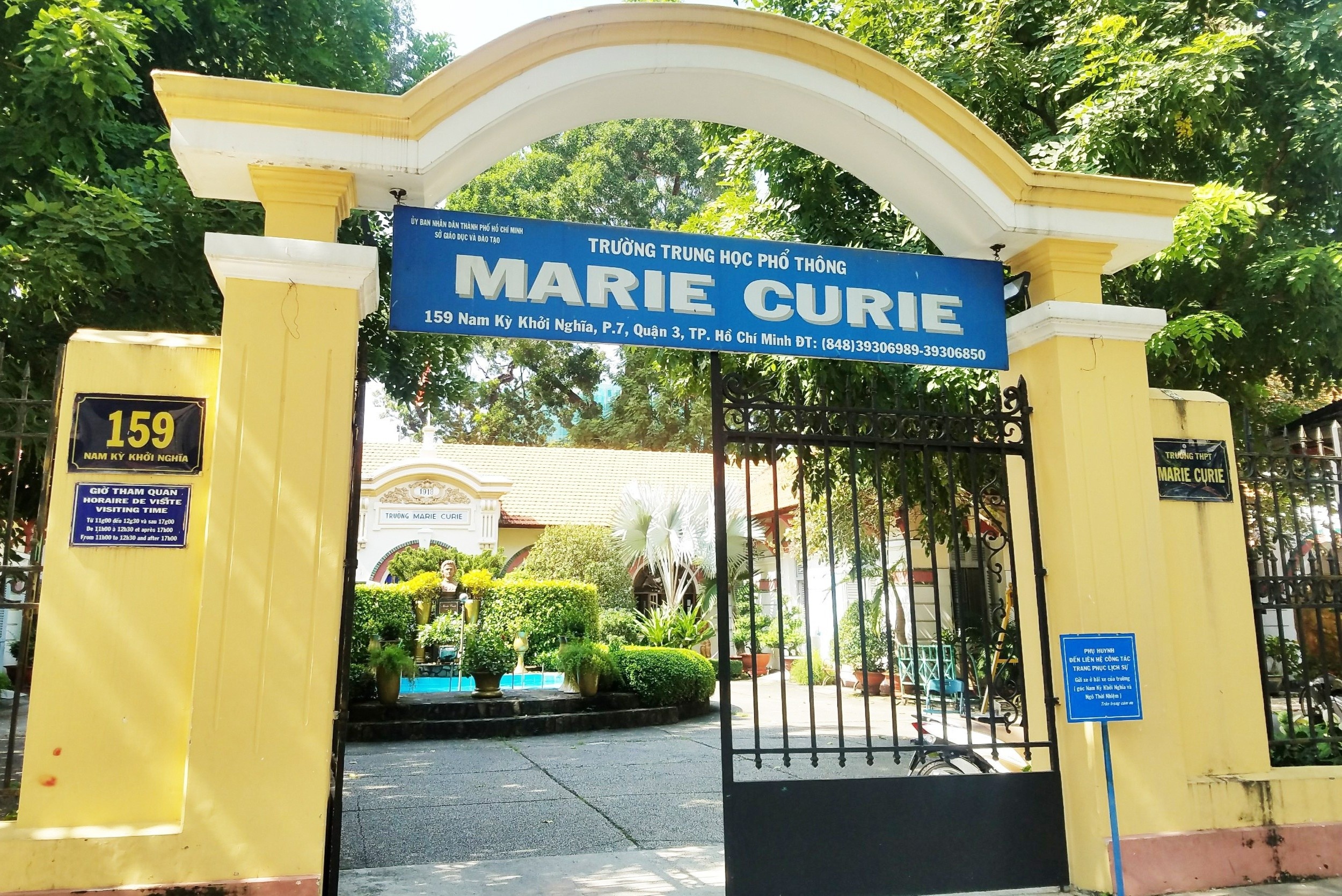 Truong hoc o TP.HCM chi hang tram trieu cho cay xanh, mong duoc ho tro hinh anh