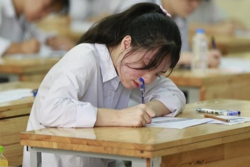 Pho diem thi lop 10 tai Ha Noi se 'rat dep' hinh anh