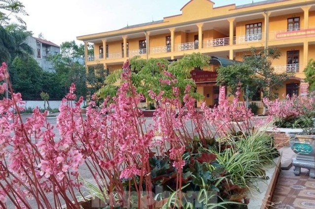 Mot diem thi tot nghiep THPT o Lang Son lui thoi gian vi Covid-19 hinh anh