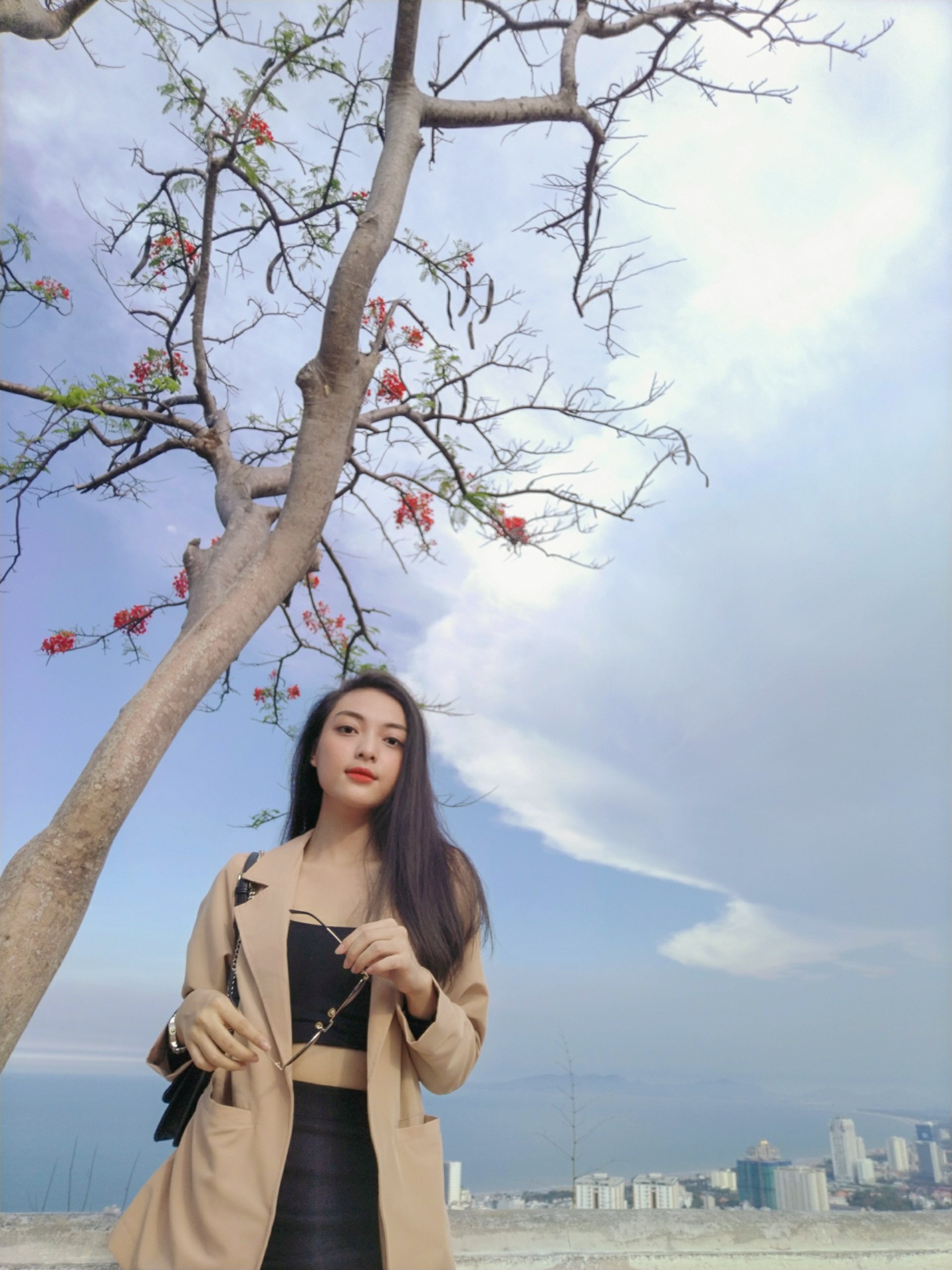 Hoa hậu Việt Nam ảnh 5 Hoa hau Viet Nam anh 5