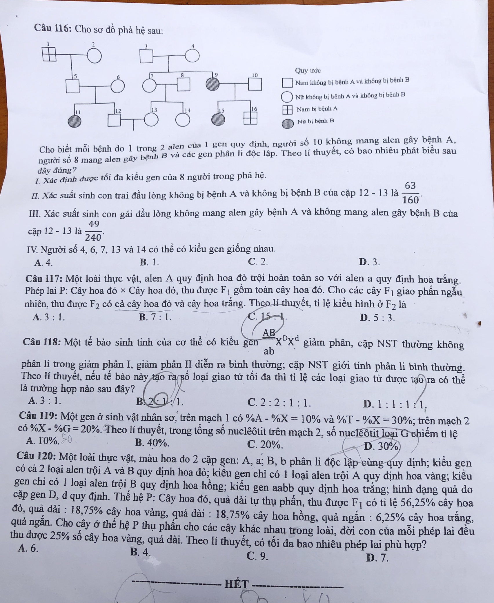 Đáp án môn Sinh học ảnh 6 Dap an mon Sinh hoc anh 6