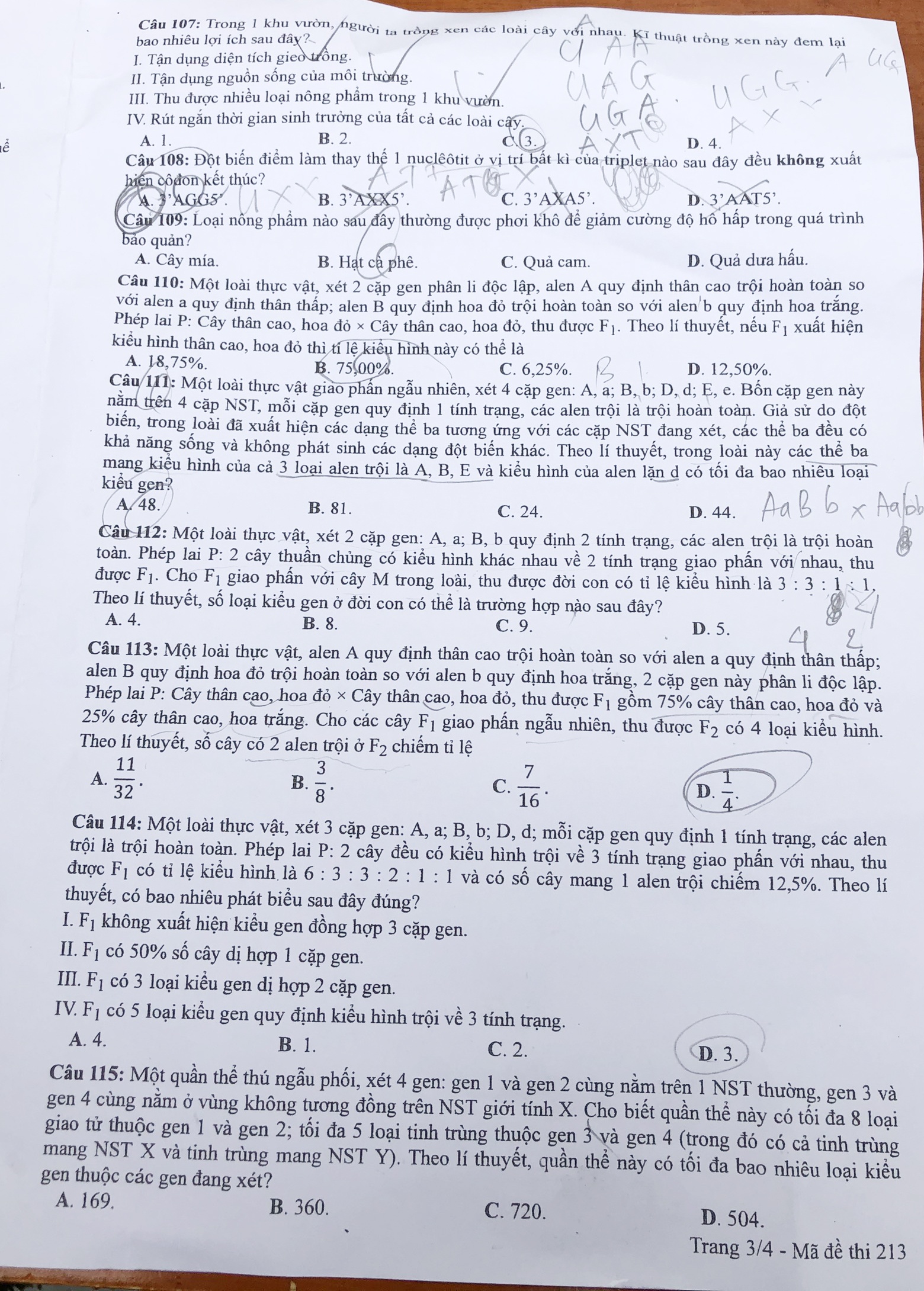 Đáp án môn Sinh học ảnh 5 Dap an mon Sinh hoc anh 5