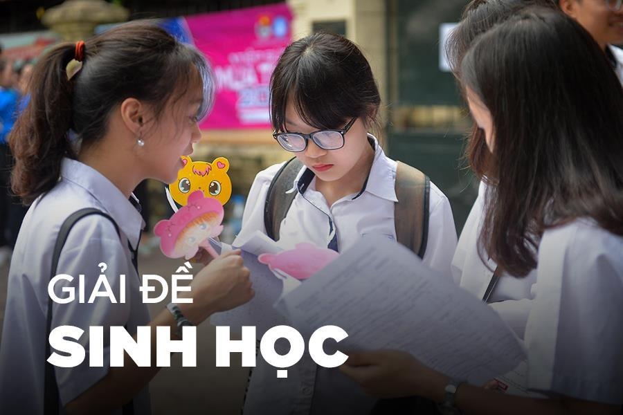 De thi, bai giai mon Sinh hoc tot nghiep THPT hinh anh