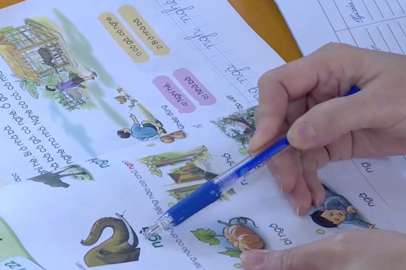 Mong som co sach lop 2 va lop 6 de day thu nghiem hinh anh