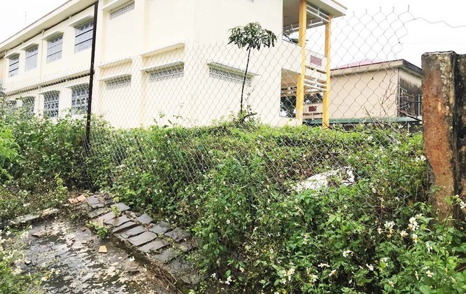 Tường rào bê tông nức toác ảnh 1 Tuong rao be tong nuc toac anh 1