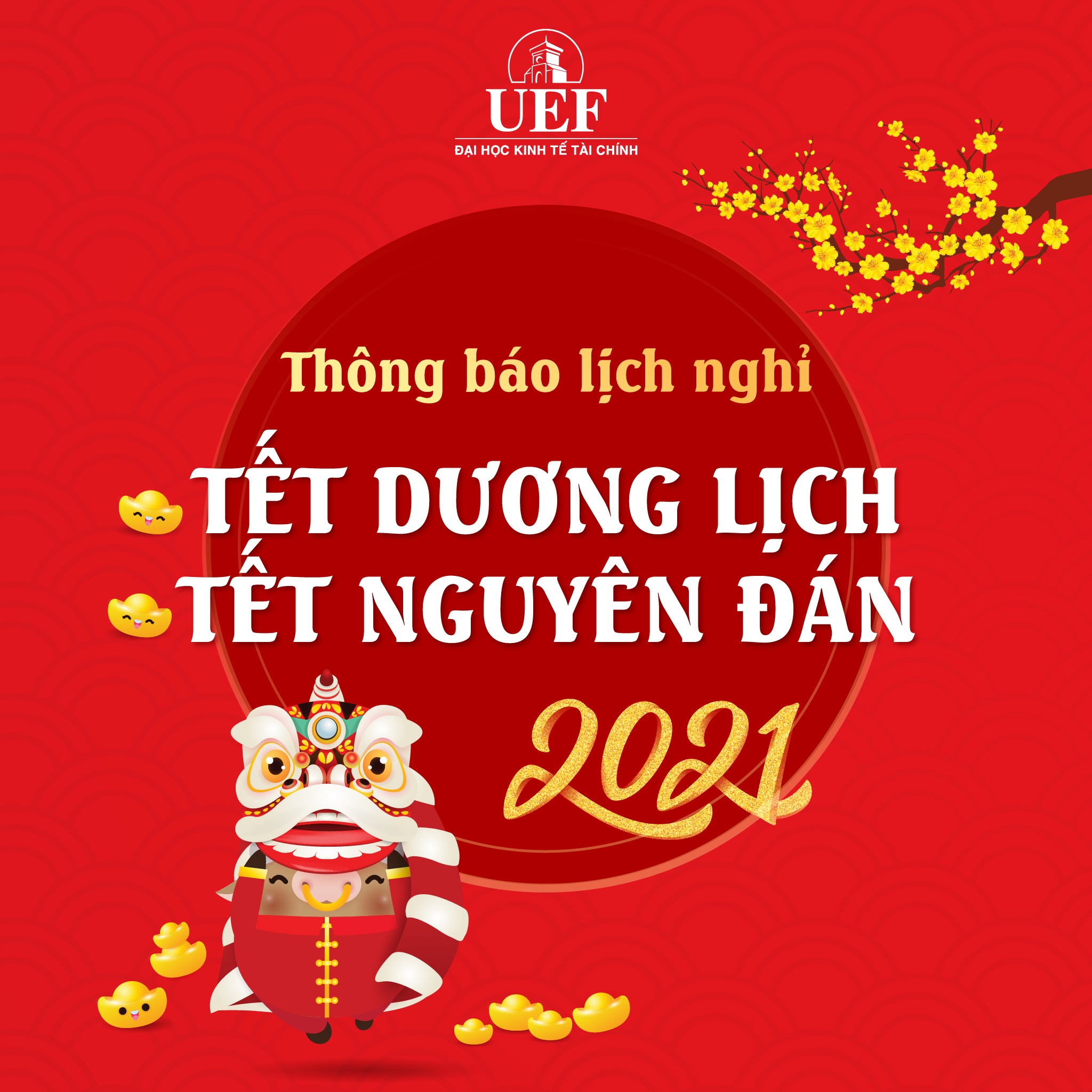 Lich nghi Tet Nguyen dan cua sinh vien anh 1