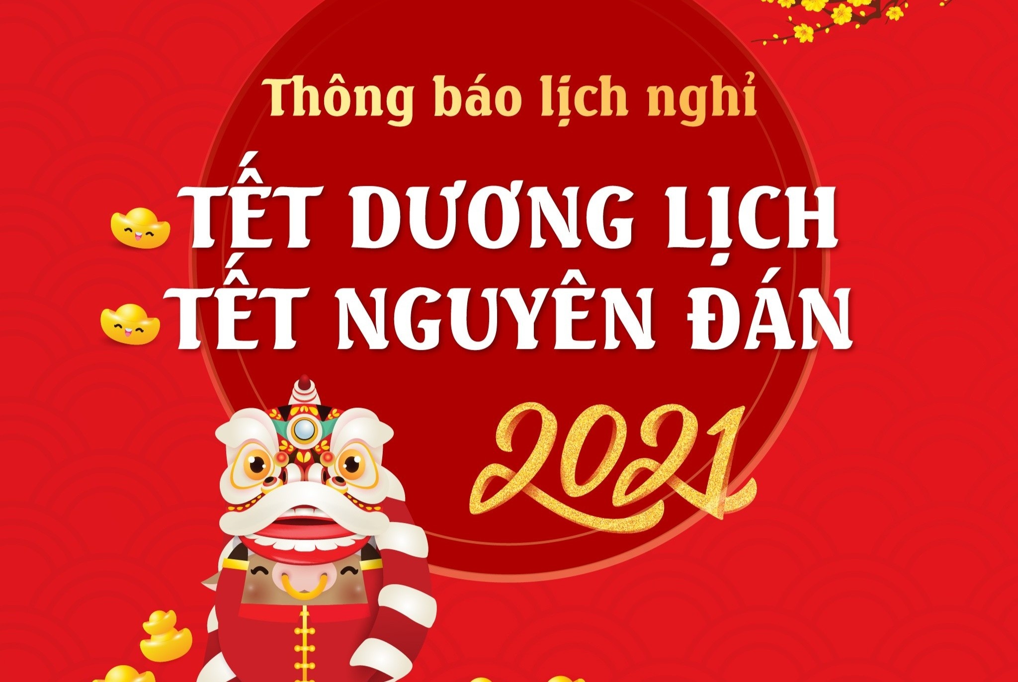 Lich nghi Tet Nguyen dan cua sinh vien 23 truong dai hoc tai TP.HCM hinh anh