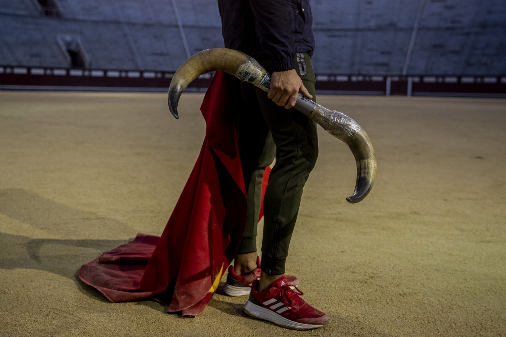 học kỹ thuật đấu bò tót ảnh 12 hoc ky thuat dau bo tot anh 12