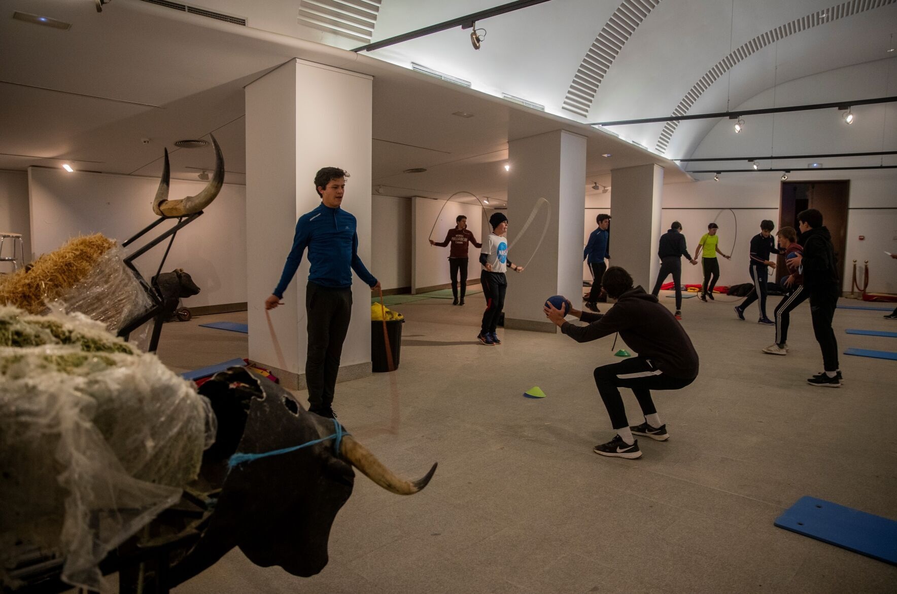 học kỹ thuật đấu bò tót ảnh 4 hoc ky thuat dau bo tot anh 4