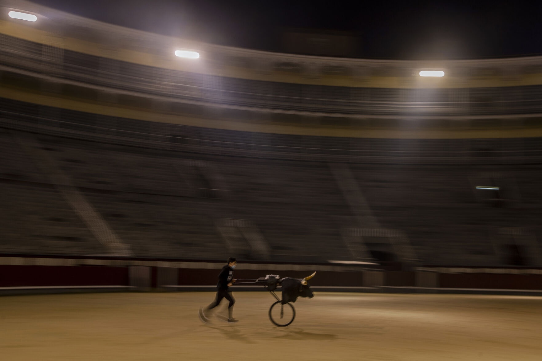 học kỹ thuật đấu bò tót ảnh 5 hoc ky thuat dau bo tot anh 5