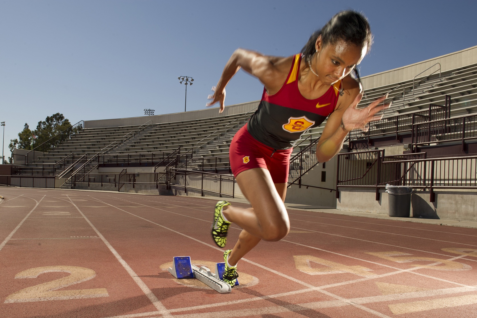 GS Harvard phan loai 8 tri thong minh anh 2