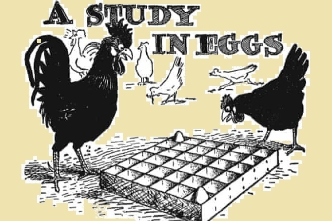 Cau do dat trung vao hop tren bao The Guardian hinh anh