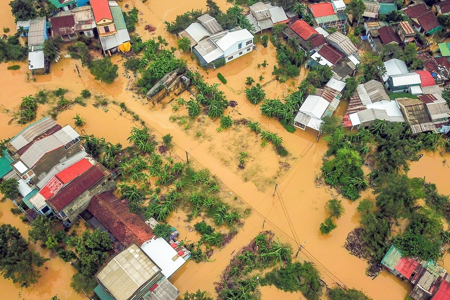 Chua chuyen hon 1,85 ty ung ho mien Trung, So GD&DT Dong Nai len tieng hinh anh