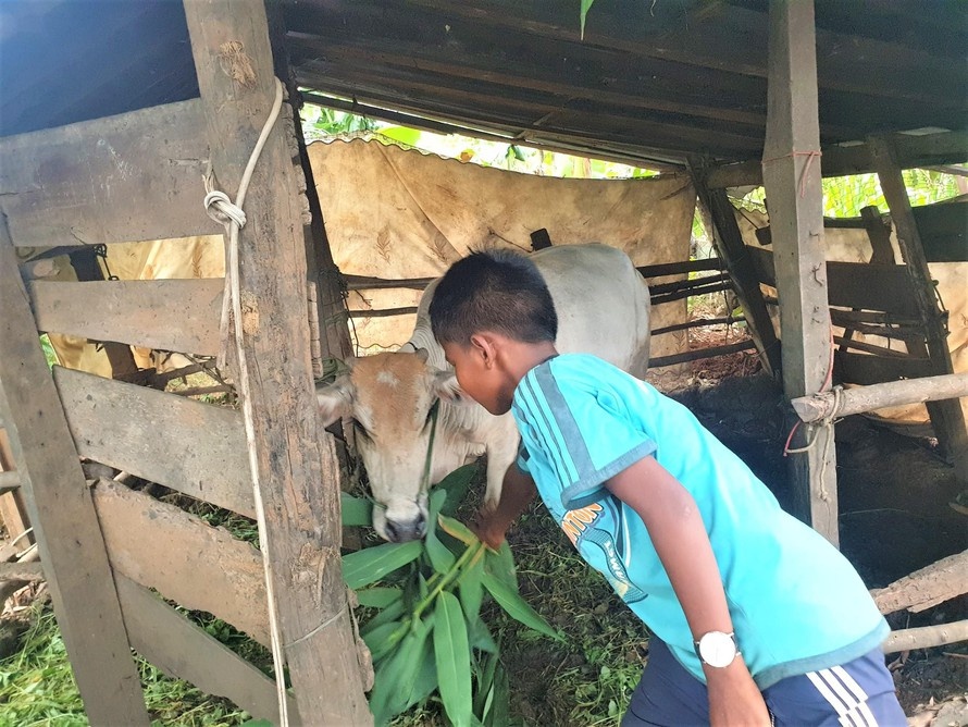 học trò nghèo bị ‘giam’ học bạ ảnh 1 hoc tro ngheo bi ‘giam’ hoc ba anh 1