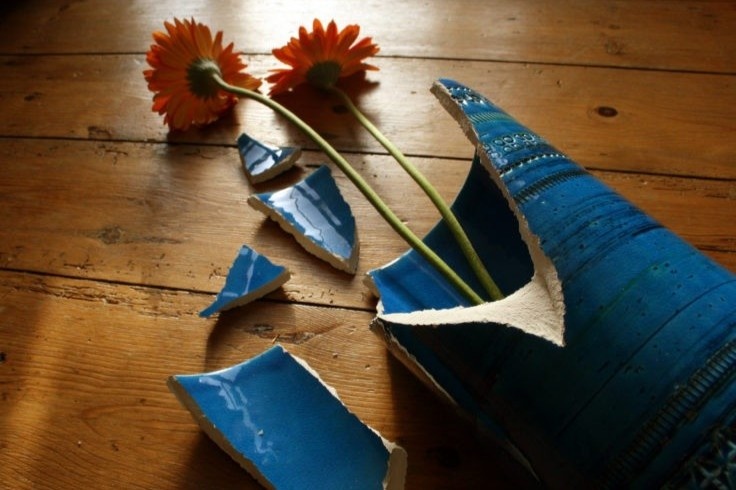 Nem binh hoa trung dau ban la vi pham quyen gi cua cong dan? hinh anh