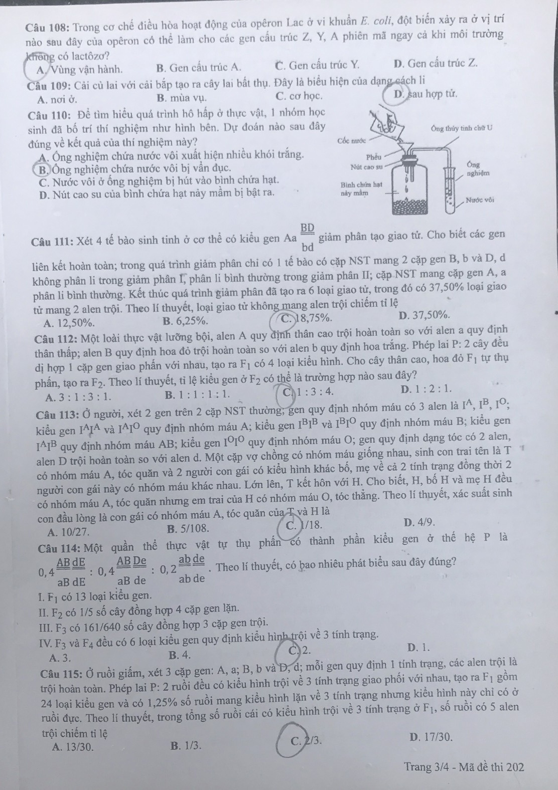 dap an sinh hoc anh 4