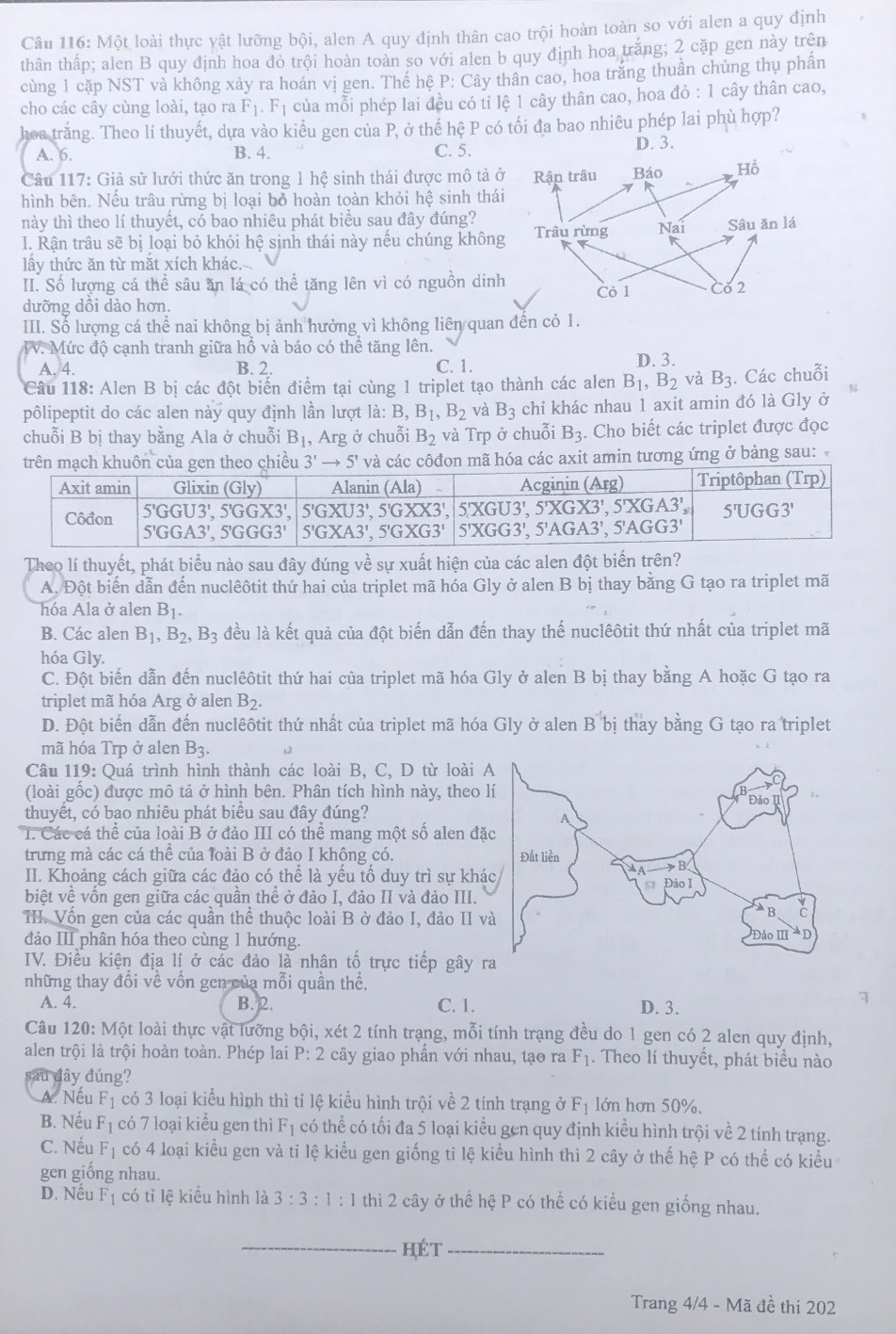 dap an sinh hoc anh 5