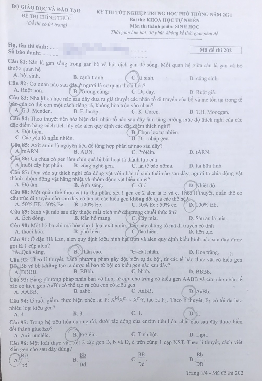 dap an sinh hoc anh 2