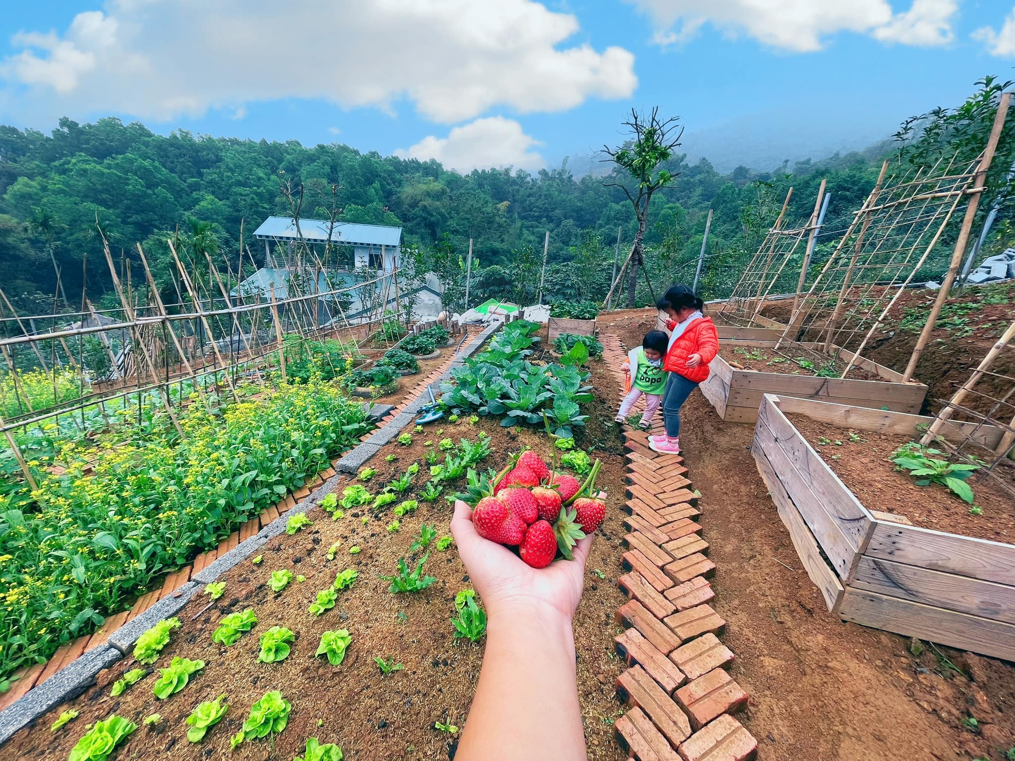 Cuoc song vui ve giua nui rung anh 1