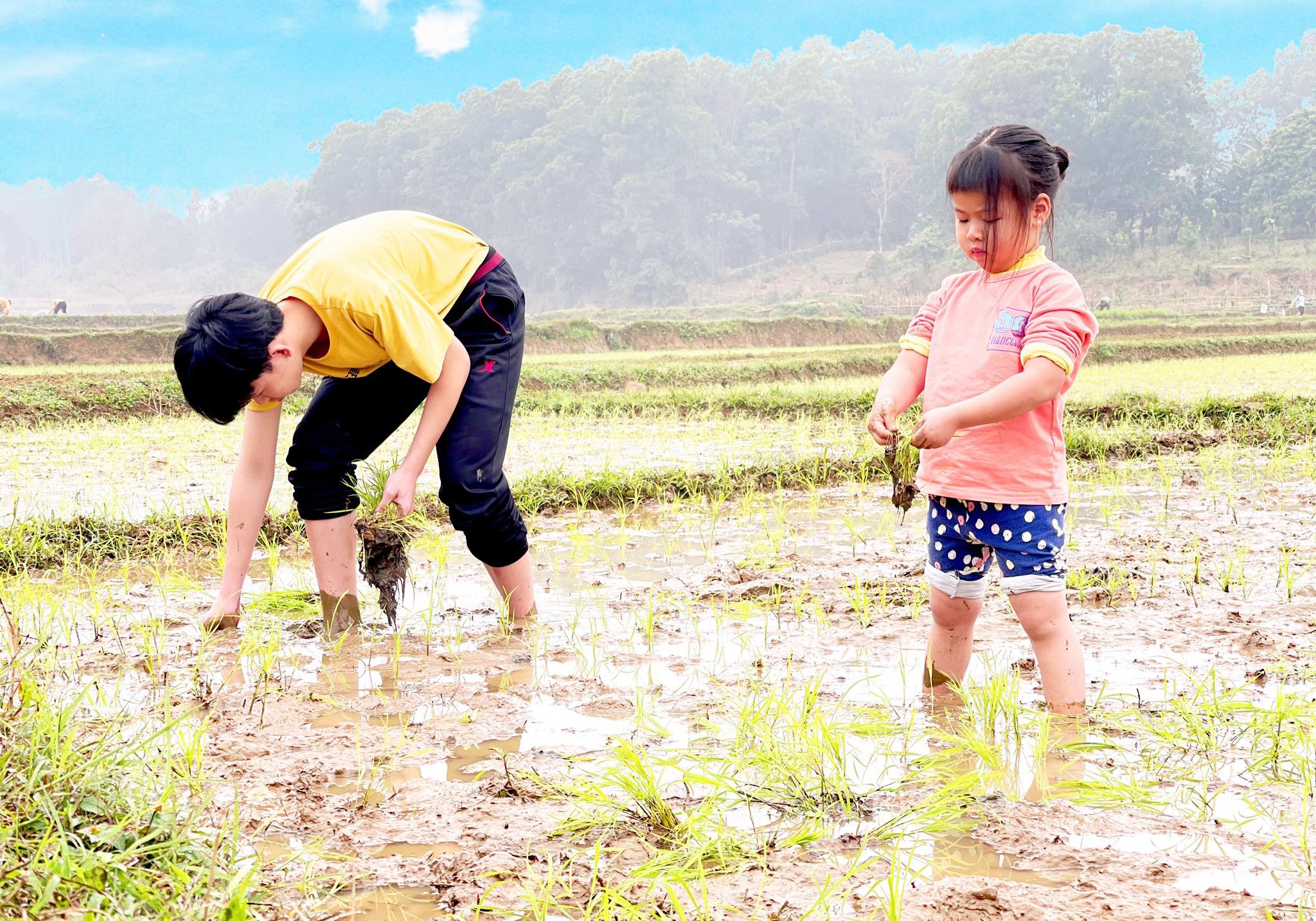 Cuoc song vui ve giua nui rung anh 9