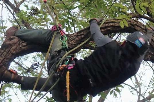 Truong dai hoc o Trung Quoc day mon leo cay hinh anh