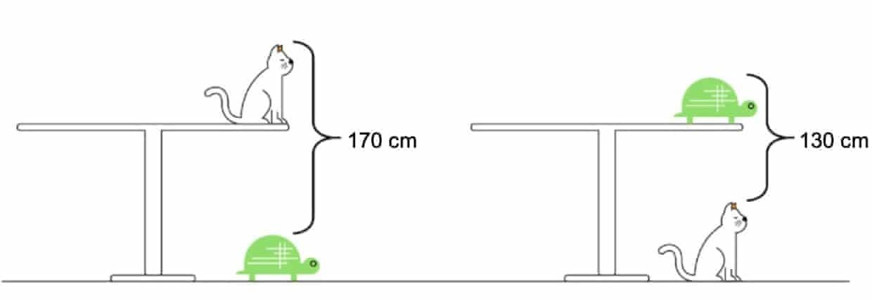 Задача какова высота стола с кошкой и черепахой