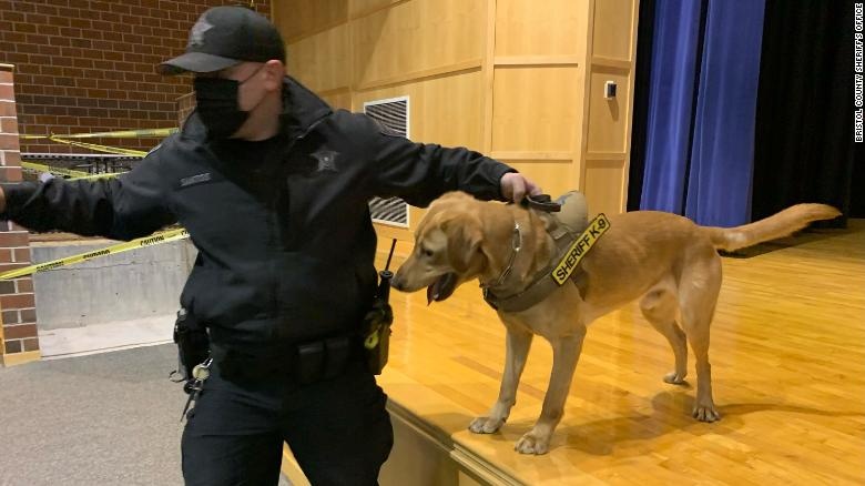 dung cho de phat hien nguoi mac Covid-19 anh 1