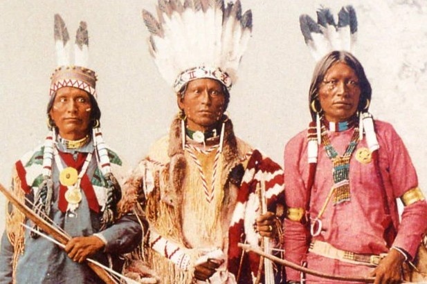 Cau do xac dinh nguoi dan tren dao thuoc bo lac nao hinh anh