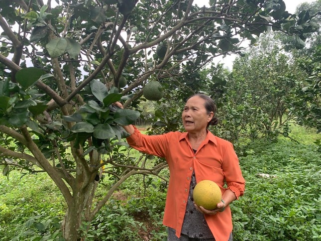 74 tuoi ap u lay bang tien si anh 2