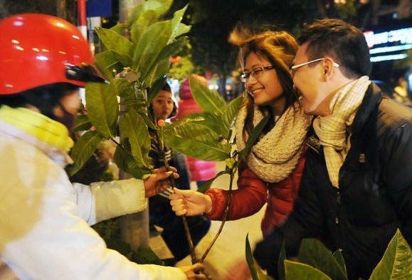 Những lưu ý khi hái lộc đầu năm ảnh 1 Nhung luu y khi hai loc dau nam anh 1