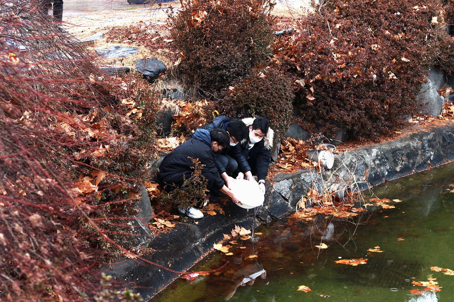 Du hoc sinh Viet Nam tai Han Quoc goi banh chung anh 2